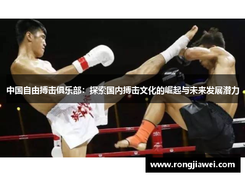 中国自由搏击俱乐部：探索国内搏击文化的崛起与未来发展潜力